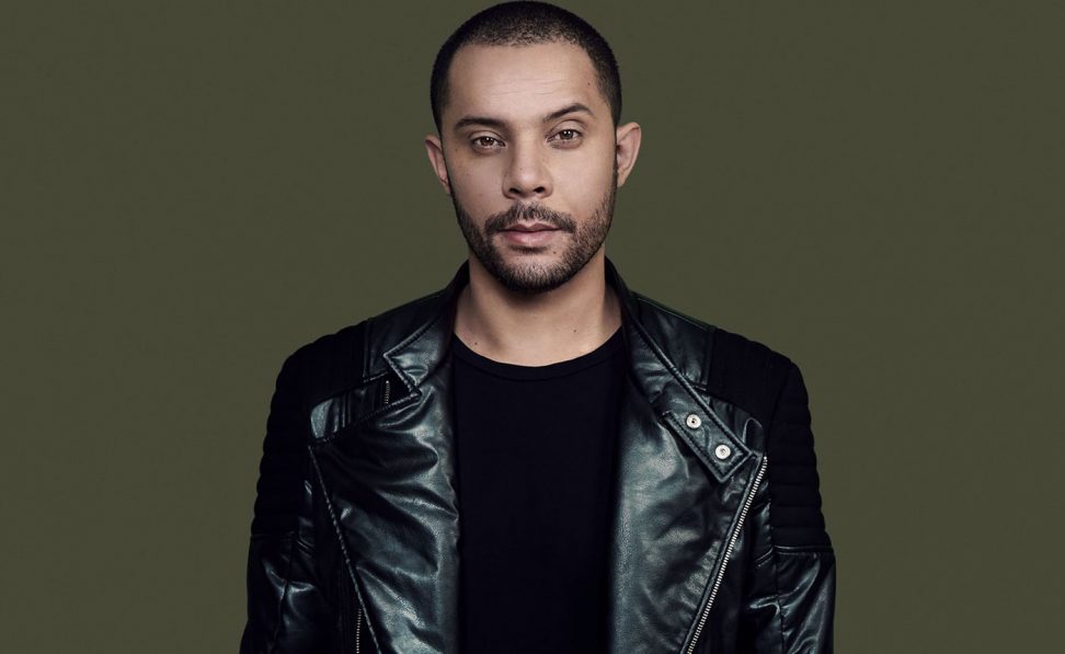 Wildstylez