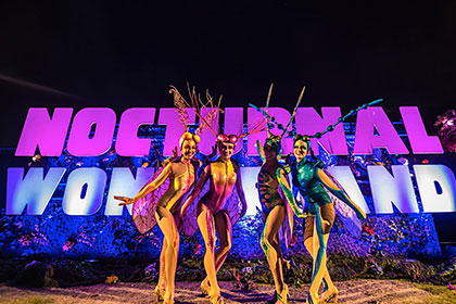 Nocturnal Wonderland 2017 – Day 1