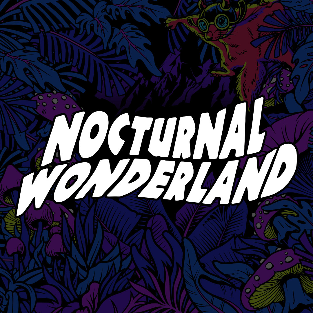 Five Artists to Catch at Nocturnal Wonderland 2022