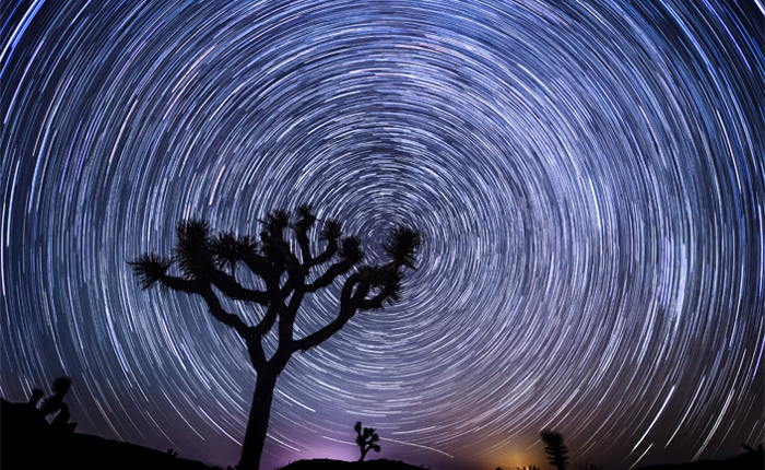 Rabbit Moons, Violet Dawns and the Call of the Desert