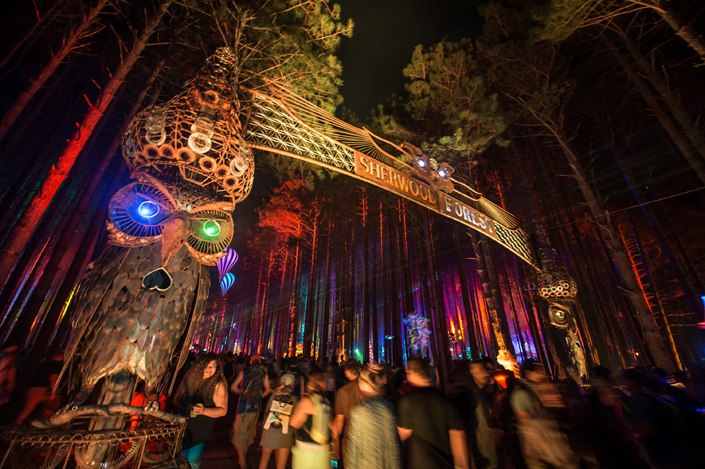 The Best of Electric Forest 2014