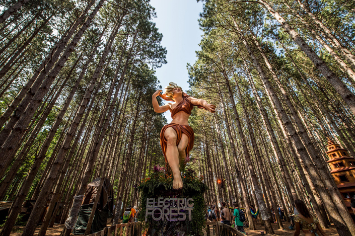 The Best of Electric Forest 2014