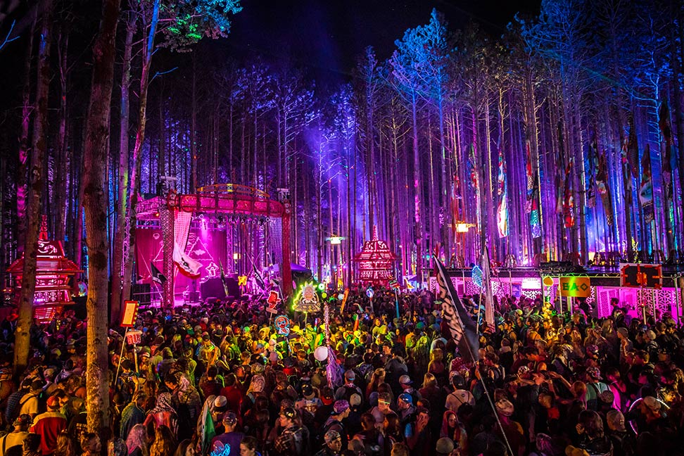 Electric Forest Insomniac