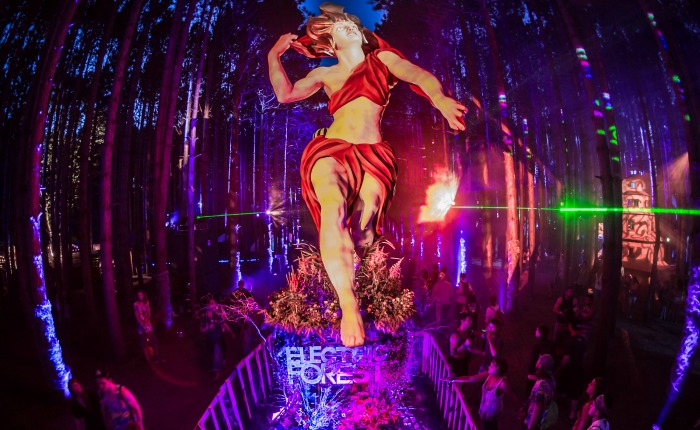 watch the forest 2015 watch the forest 2015