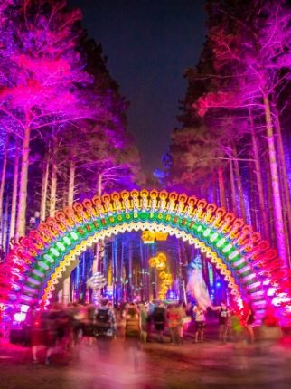 Electric Forest 2015, by the Numbers