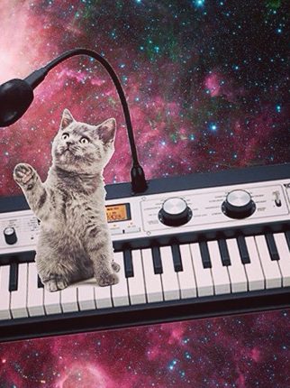 Cats on Synthesizers in Space Is the Right Kind of Weird