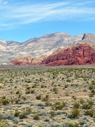 The Best Outdoorsy Things to Do in Las Vegas