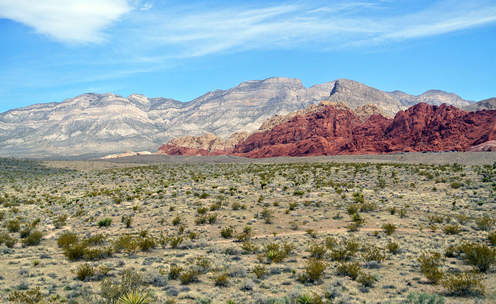 The Best Outdoorsy Things to Do in Las Vegas