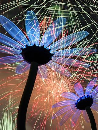 The Art of EDC Las Vegas: Daisy Patch