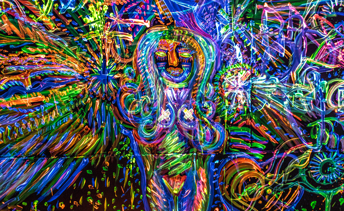 nocturnal wonderland lost and found nocturnal wonderland lost and found