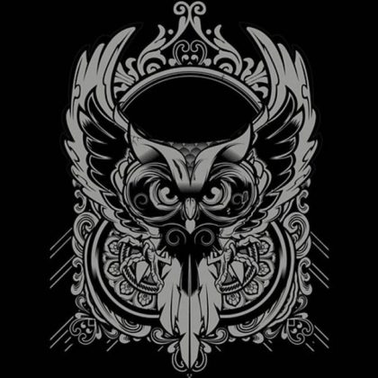 ‘Night Owl Radio’ 014 ft. Paul van Dyk