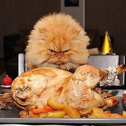 Fight the Food Coma With This Turnt Turkey Day 2017 Playlist