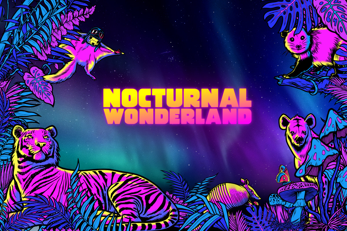 nocturnal wonderland