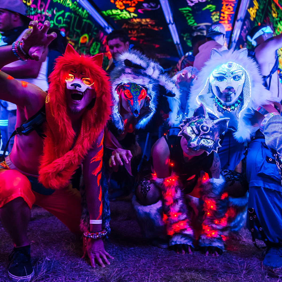 Become a Creature of the Night With This Nocturnal Wonderland 2018