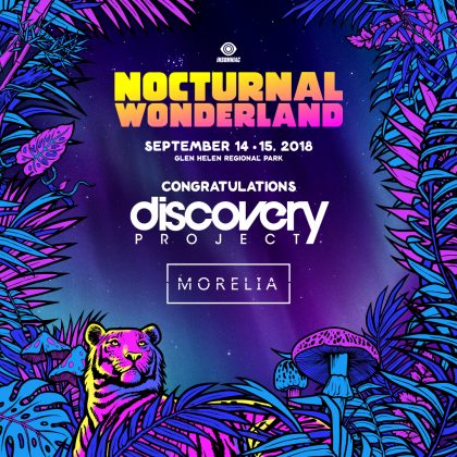 Nocturnal Wonderland 2018: DJ / Producer