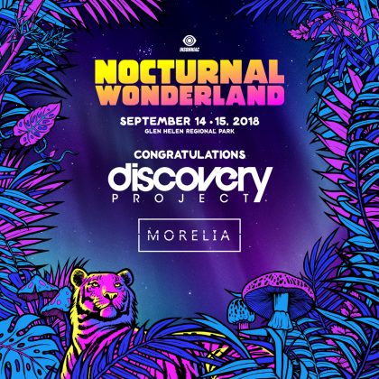 Introducing the Nocturnal Wonderland 2018 Discovery Project Winner