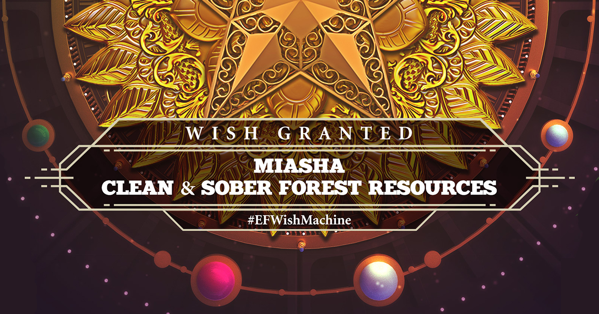 Wish Machine Dreams Clean And Sober Forest Resources Insomniac