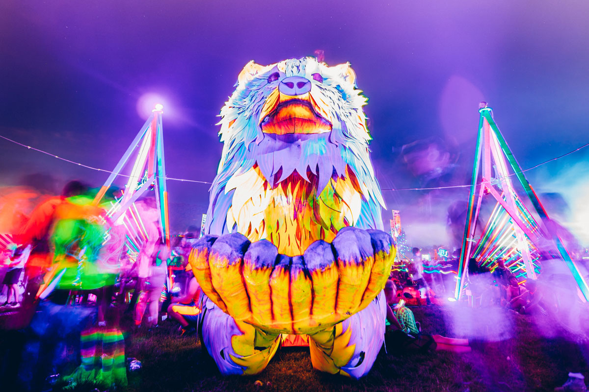 nocturnal wonderland outfit ideas