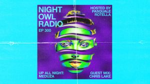 night owl radio 300