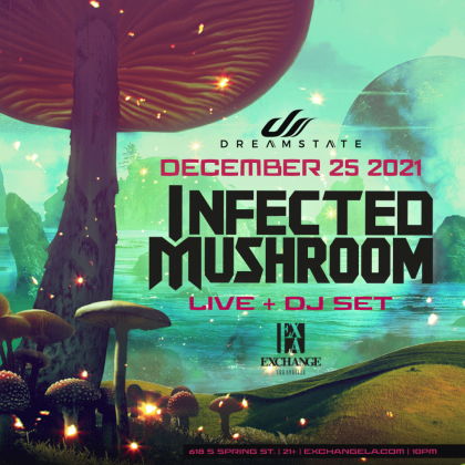 Infected Mushroom (Live + DJ Set)