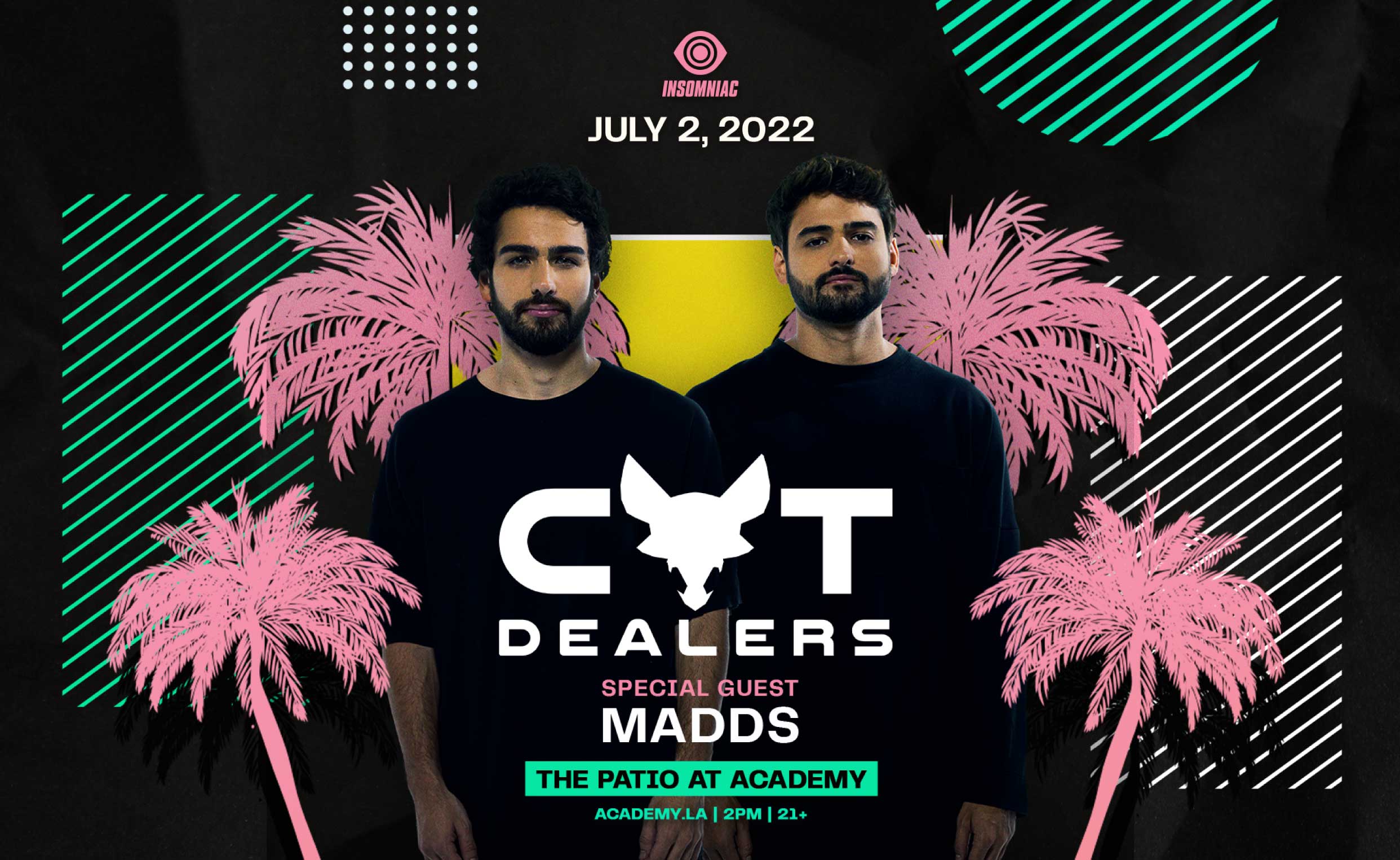 Cat Dealers Insomniac