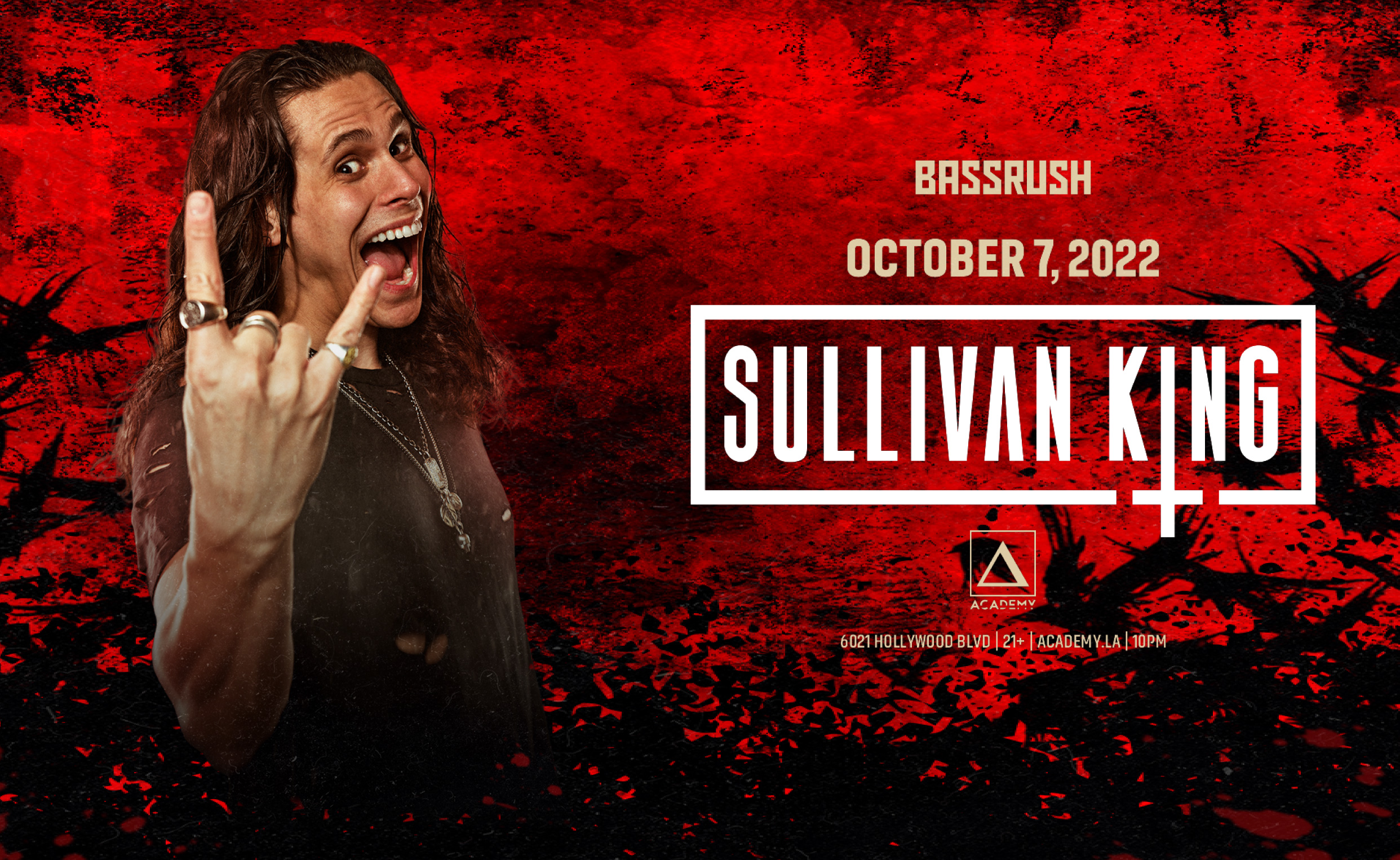 Sullivan King Insomniac