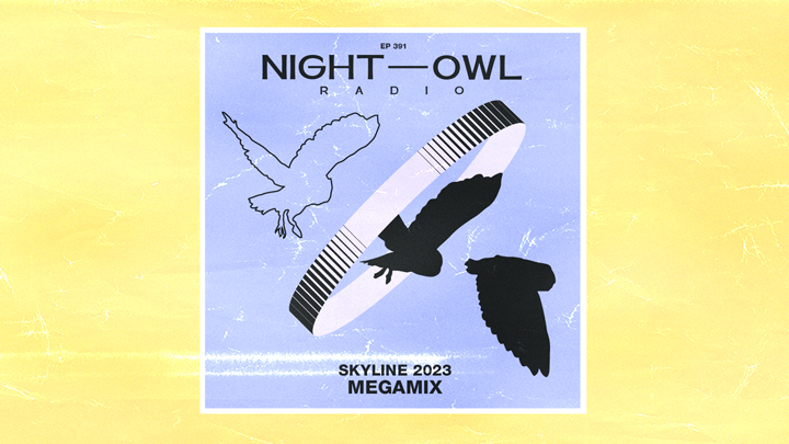 night owl radio 391