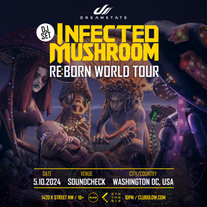 Infected Mushroom (DJ Set)