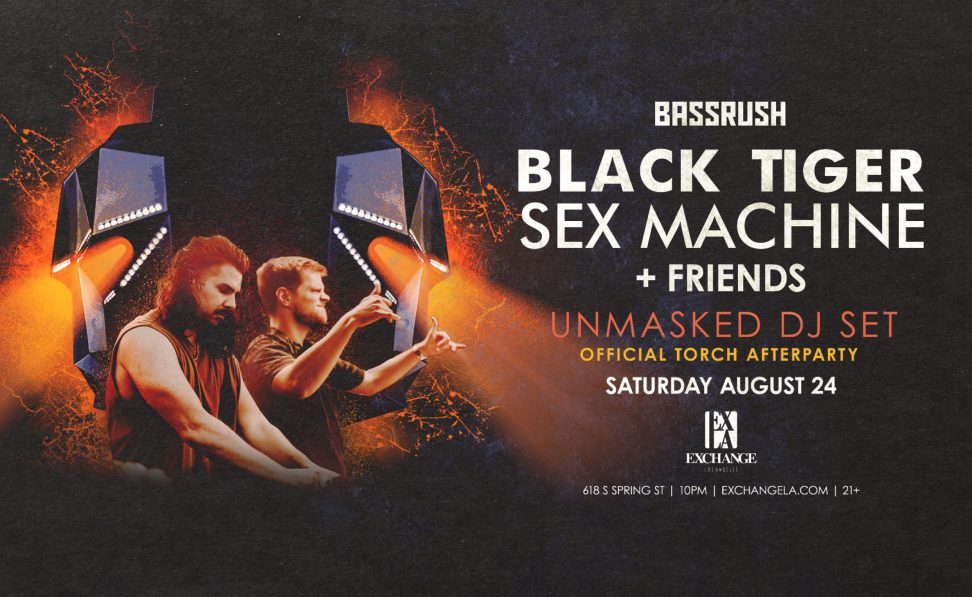 Black Tiger Sex Machine Unmasked DJ Set  Insomniac 