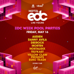 Hotel EDC Pool Party