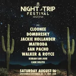Night Trip Festival Arizona