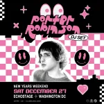 Porter Robinson (DJ Set)
