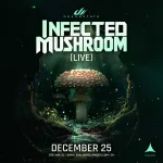 Infected Mushroom [Live]
