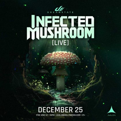 Infected Mushroom (Live)