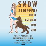 Snow Strippers