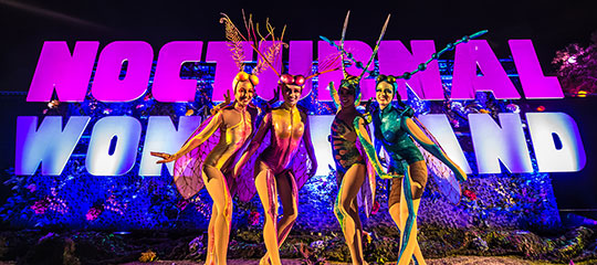 Insect-inspired performers