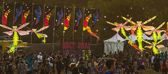 Flags and firefly puppets
