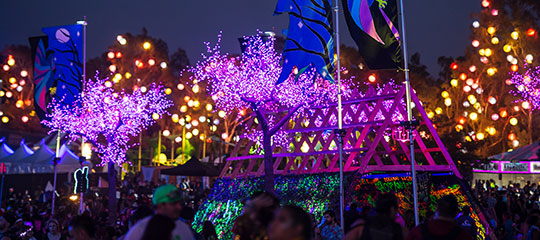 Art installations and flags