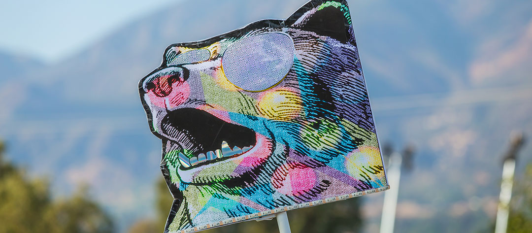 A totem of a bear head