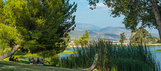 A scenic view of the lake