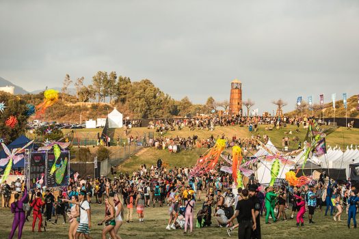 Headliners walking on the grass