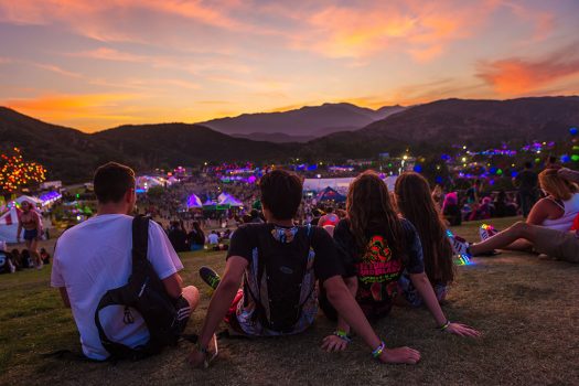 Headliners hang out on the grass