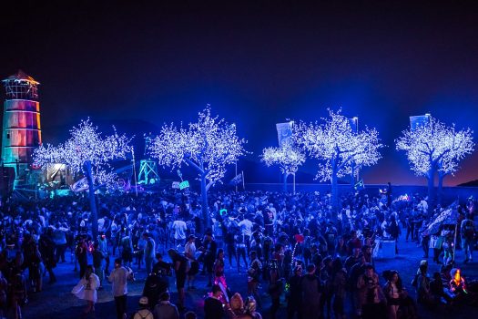 Headliners gather under glowing trees