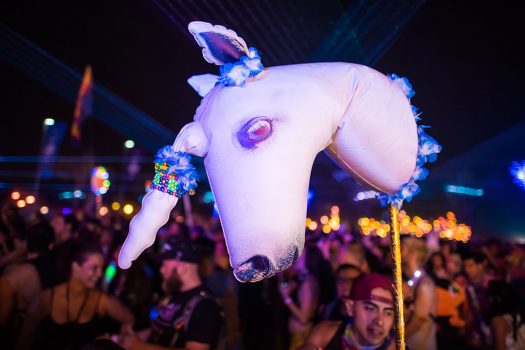 A unicorn totem