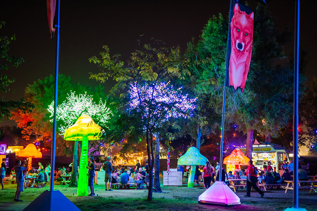 Glowing mushrooms and flags