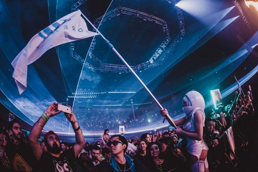 A performer waves a Dreamstate flag
