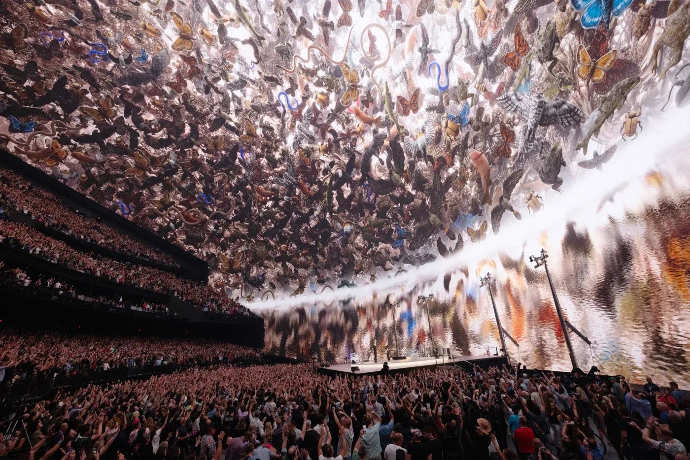 GA Floor