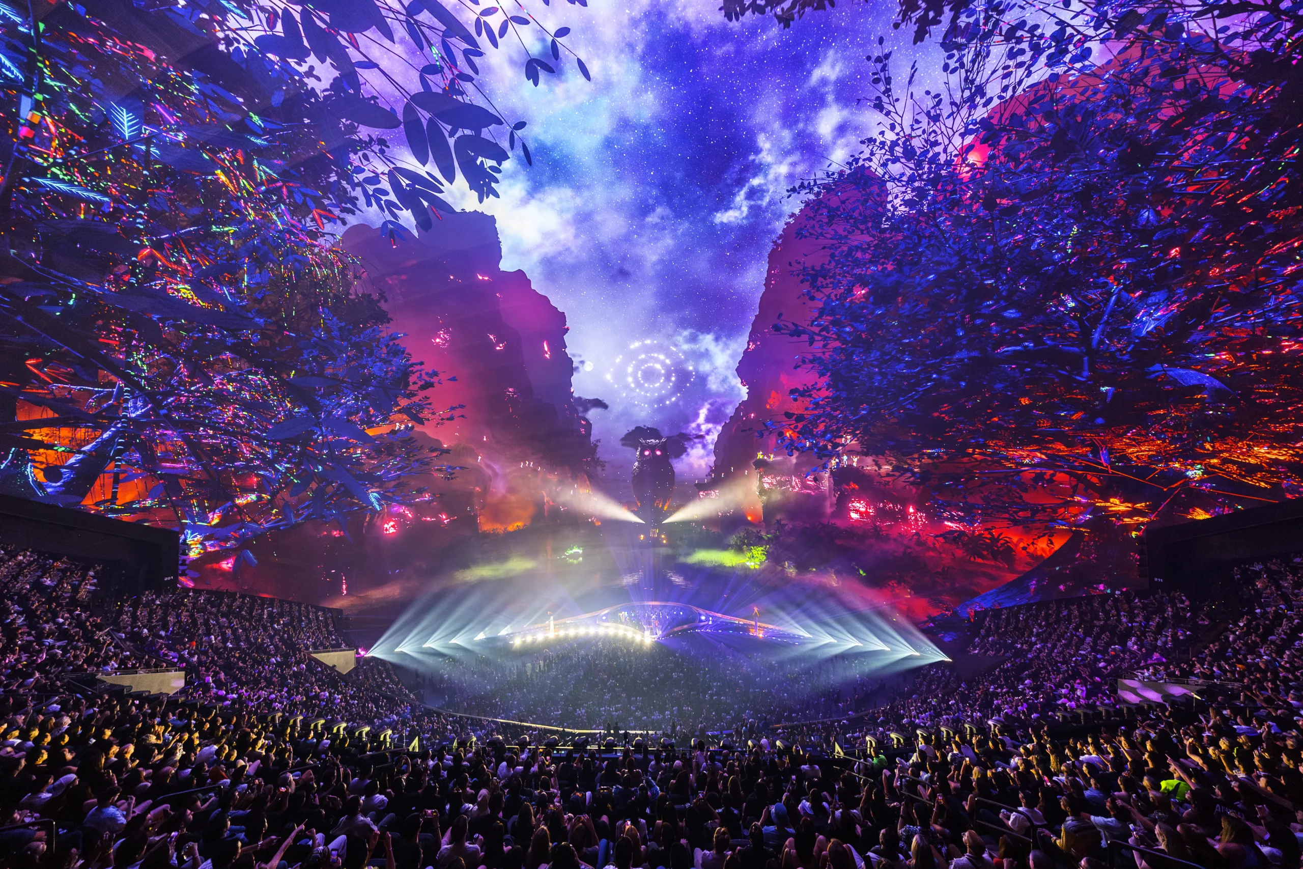 Nocturnal Wonderland