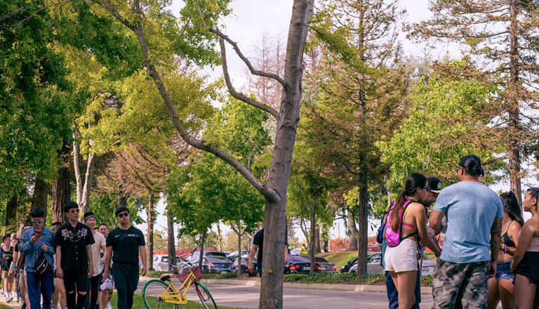 Parking Header