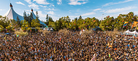 An aerial shot of the crowd